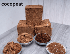 Cocopeat